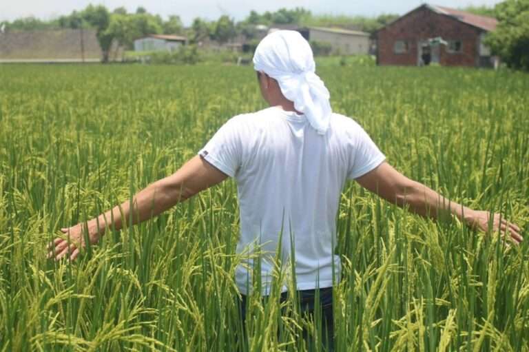 ⼀鍋「不加味」的湯 守住台灣物產的鮮