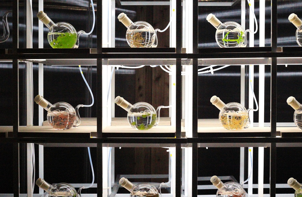 海科館「海洋未來式特展」展期結束後將將啟動全台巡迴任務