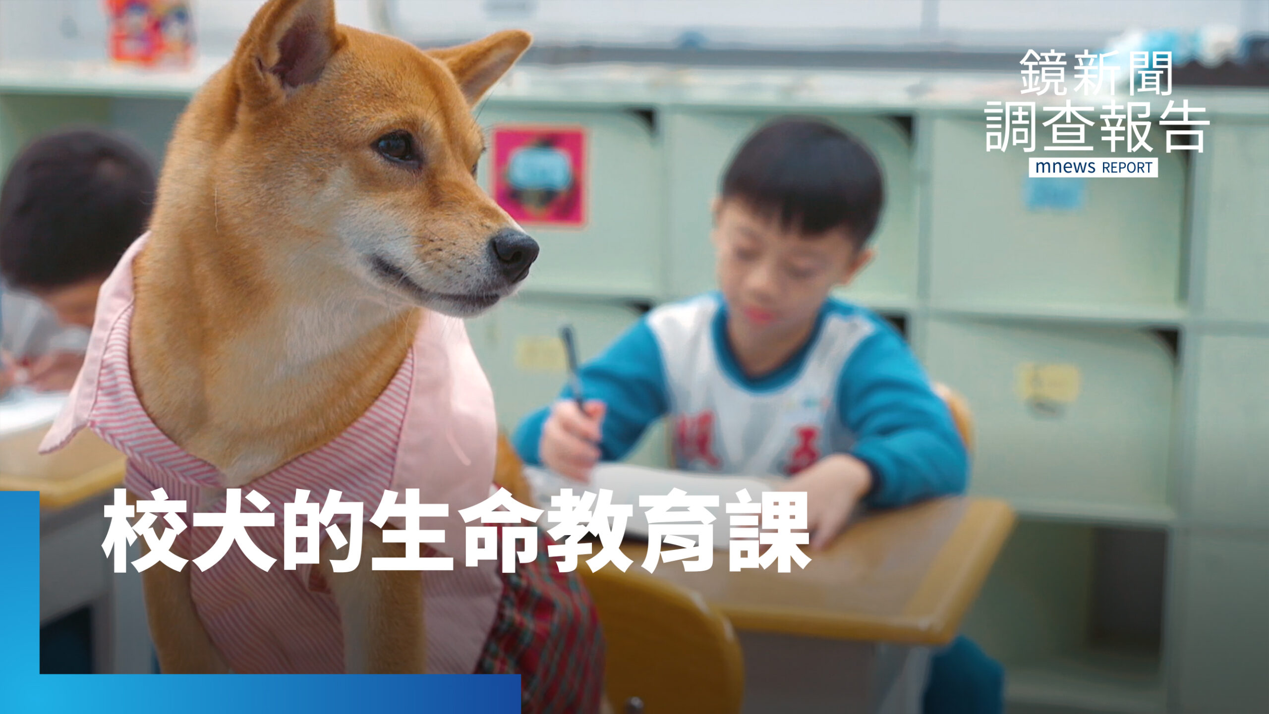 校犬上線 讓拒學小子愛上學校!生命教育課主角 互動中學尊重 對孩子帶來哪些影響力|牠比你想得更專業 校犬上線 讓拒學小子愛上學校!生命教育課主角 互動中學尊重 對孩子帶來哪些影響力|牠比你想得更專業