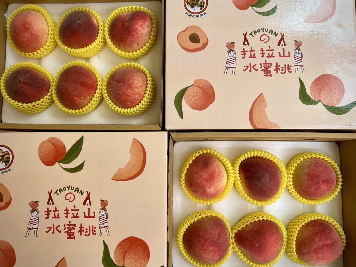 鮮甜首發!桃園拉拉山「媽媽桃」4/13起預購開跑 1040169 0 1