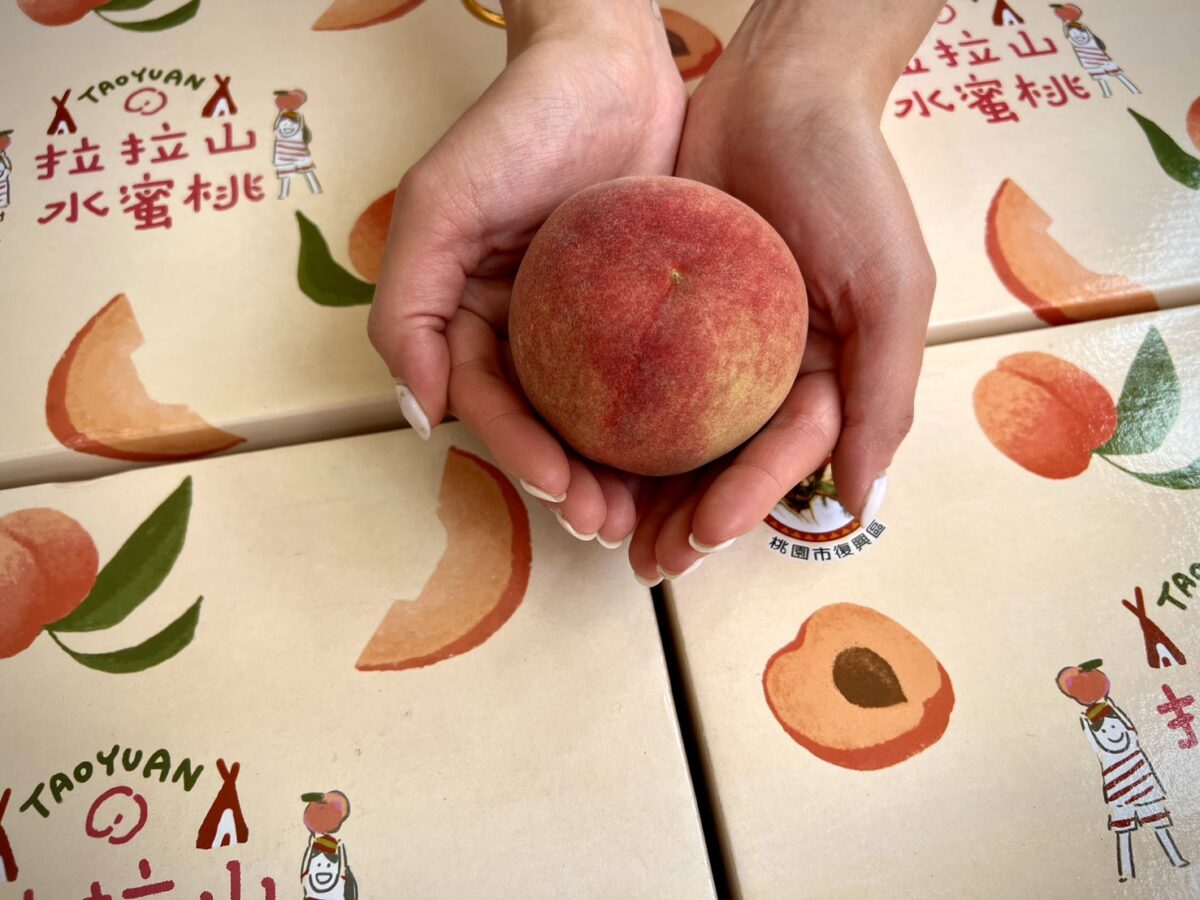 鮮甜首發!桃園拉拉山「媽媽桃」4/13起預購開跑 1040170 0 1