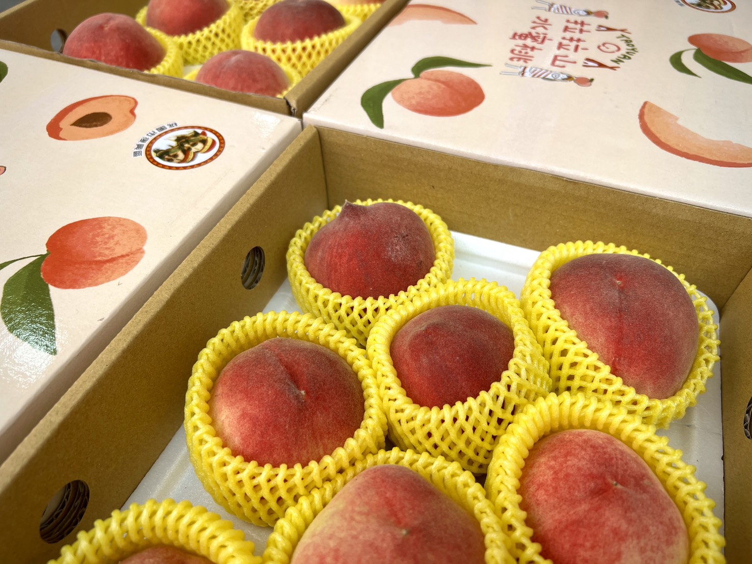 鮮甜首發!桃園拉拉山「媽媽桃」4/13起預購開跑 鮮甜首發!桃園拉拉山「媽媽桃」4/13起預購開跑