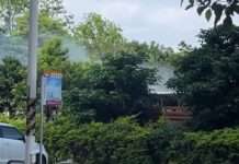 桃園地院變電箱疑爆炸噴白煙!近2千戶受影響 台電說明了 桃園地院變電箱疑爆炸噴白煙!近2千戶受影響 台電說明了