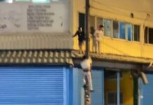 【有片】觀音移工深夜爭執見警鳥獸散 3人躲屋簷爬電桿落跑畫面曝 【有片】觀音移工深夜爭執見警鳥獸散 3人躲屋簷爬電桿落跑畫面曝