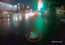 【有片】公德心在哪?八德街頭上演「垃圾空襲」騎士輾過險摔 【有片】公德心在哪?八德街頭上演「垃圾空襲」騎士輾過險摔