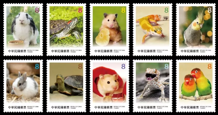 可愛寵物郵票又來了!5動物超萌亮相 這天起發行 1776411083558