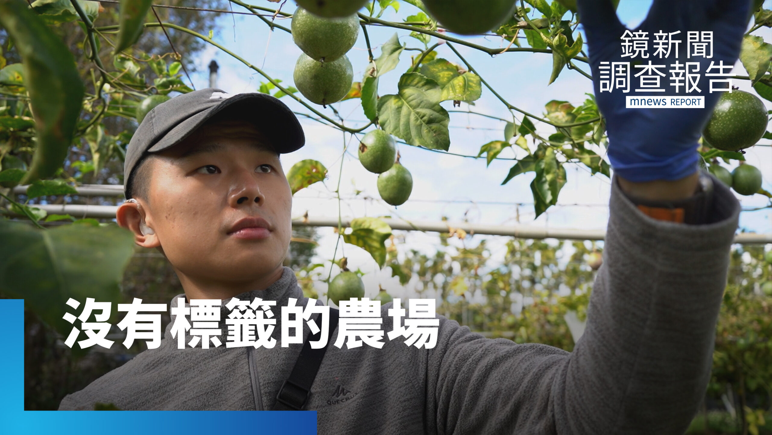 不只是被照顧者 陳俞安打造沒有標籤的百香果農場 盼打造身障農耕隊 解決農業缺工|把脆弱培養成力量 不只是被照顧者 陳俞安打造沒有標籤的百香果農場 盼打造身障農耕隊 解決農業缺工|把脆弱培養成力量