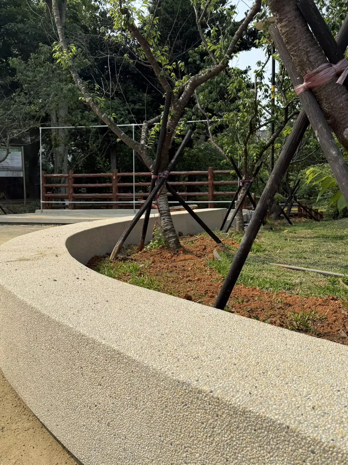 中壢莒光公園完工開放!增植櫻花與全新意象打造地標 332 1