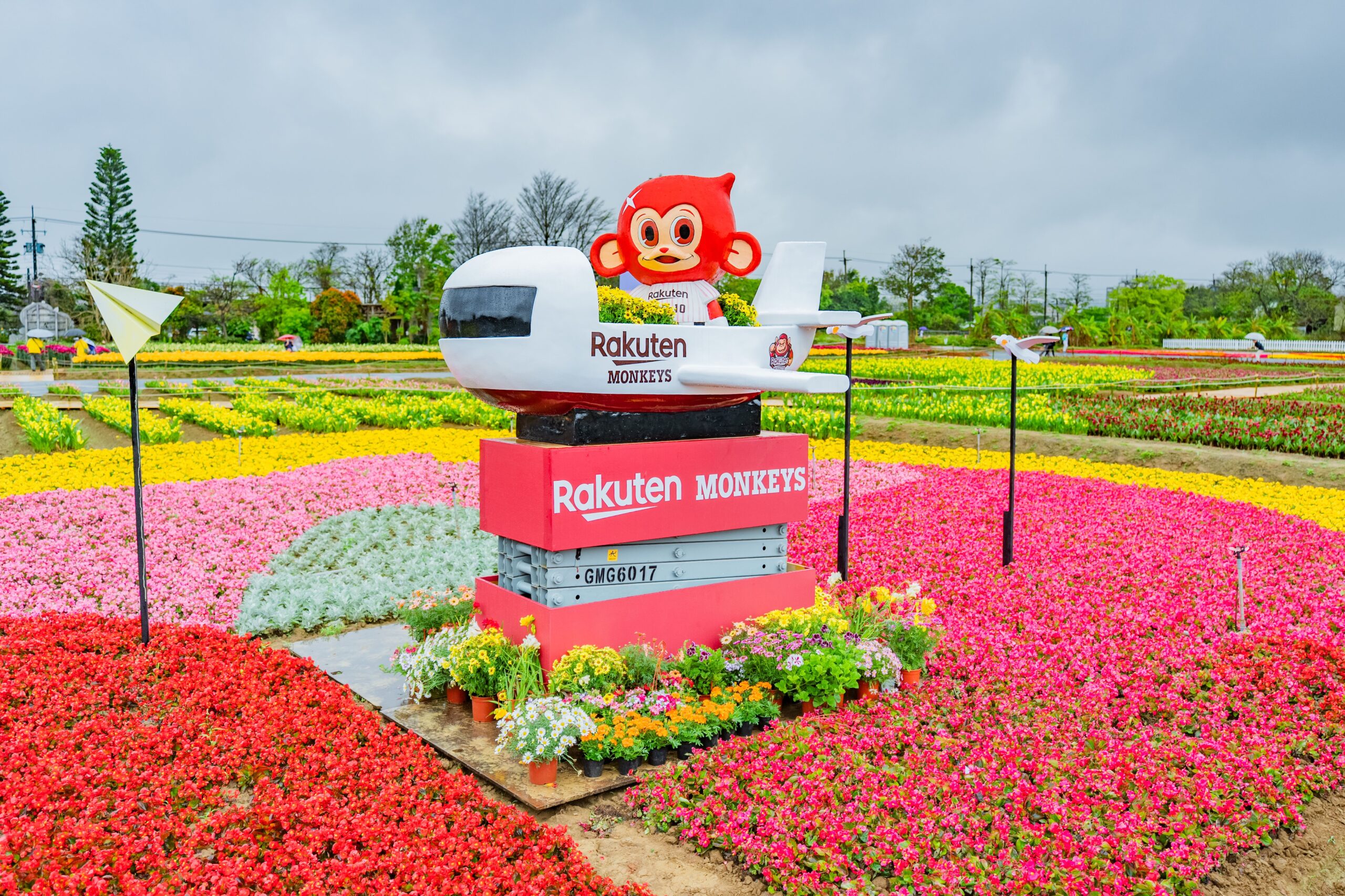 把握最後一周！桃園彩色海芋季打造20萬株壯觀花海 4/12閉幕