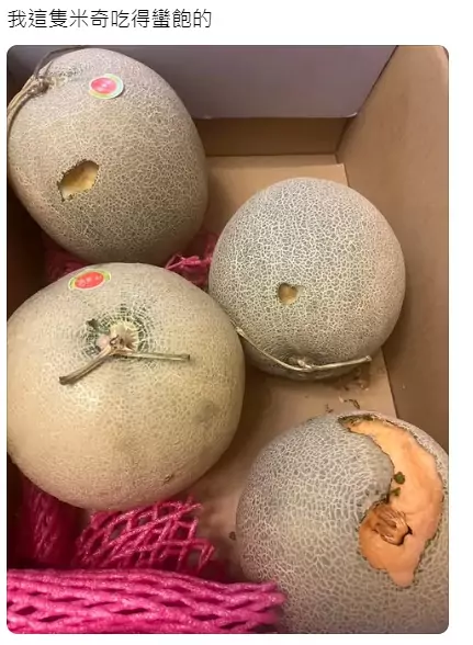 這餅乾多香?郵局阿伯急叩收件人通知:包裹被米奇開箱試吃了 54g5e45