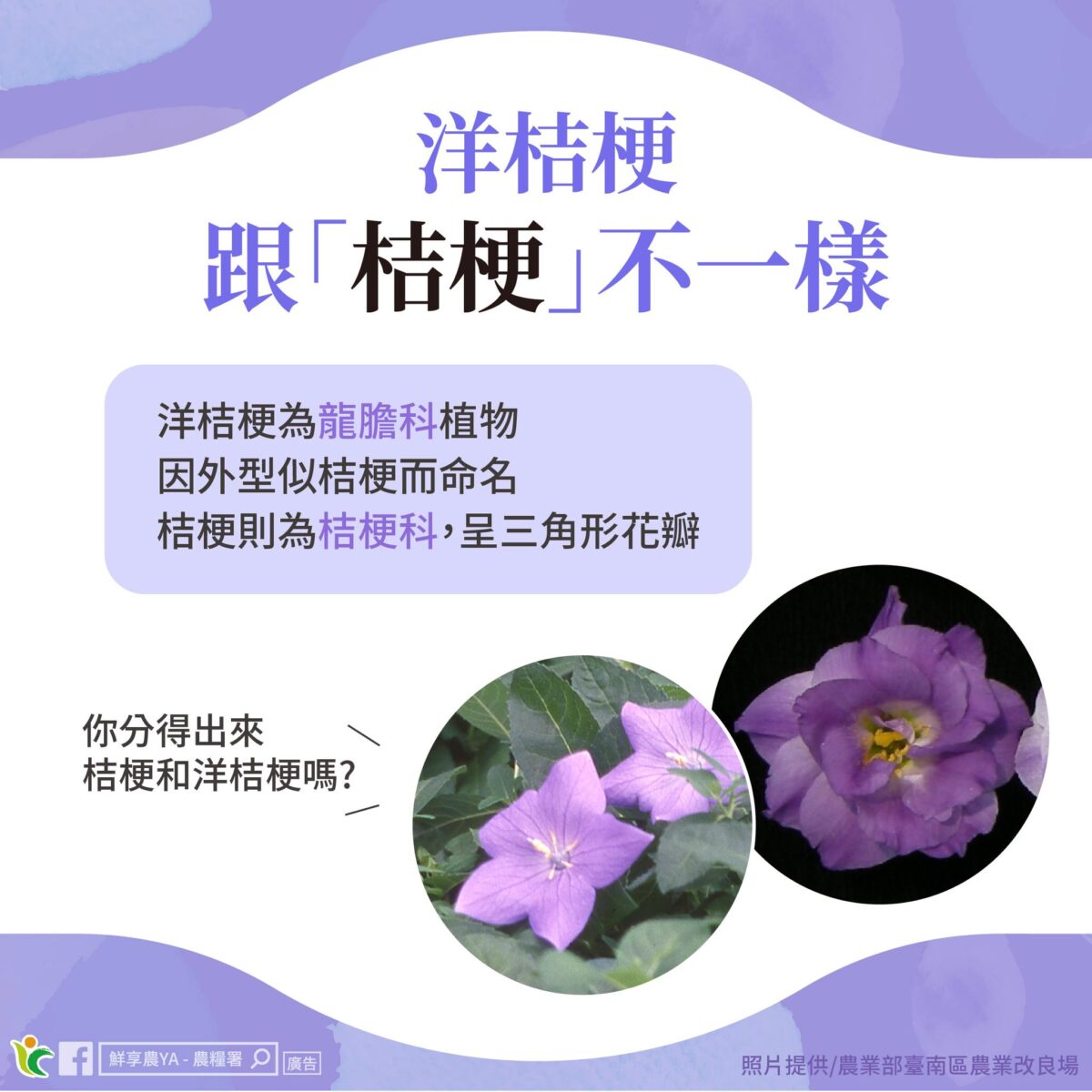 595248090 1170584178553544 7819476708649728885 n