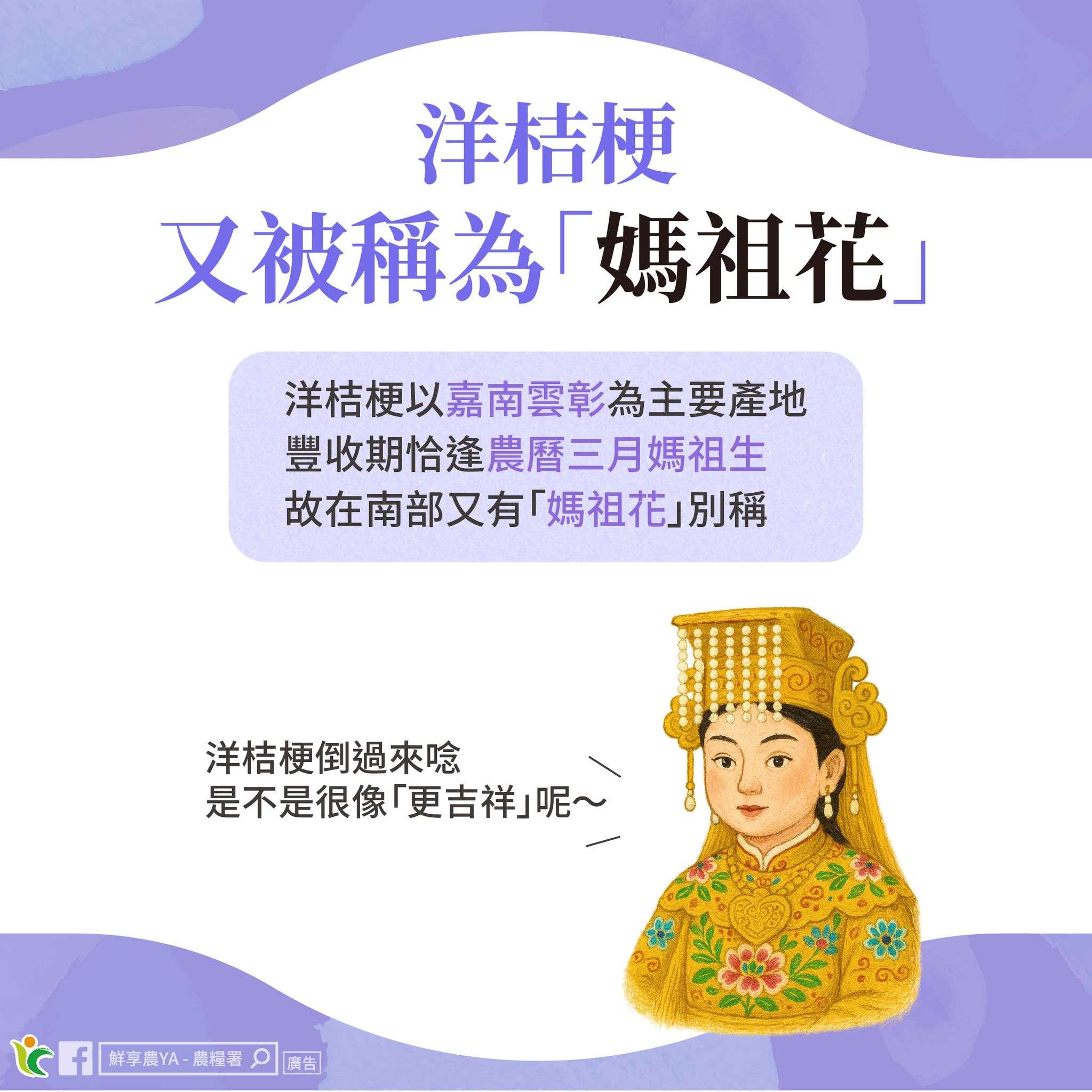 台灣五大外銷花「洋桔梗」產季登場!產地與美麗秘密解析 台灣五大外銷花「洋桔梗」產季登場!產地與美麗秘密解析