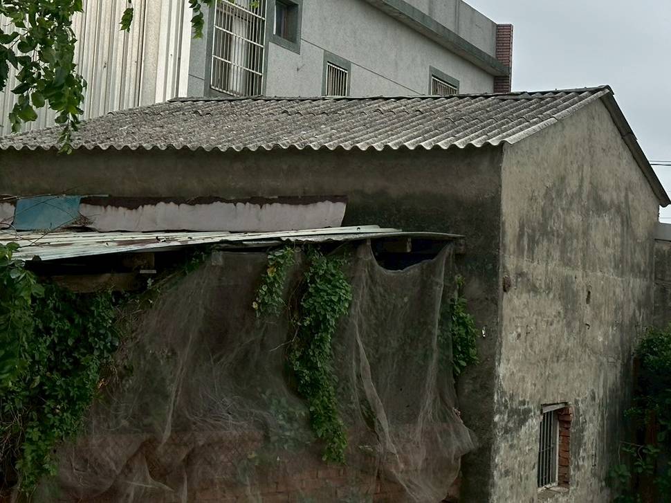 亂丟石綿恐挨罰千萬!桃園海資處即起受理「免費清運」申請 亂丟石綿恐挨罰千萬!桃園海資處即起受理「免費清運」申請