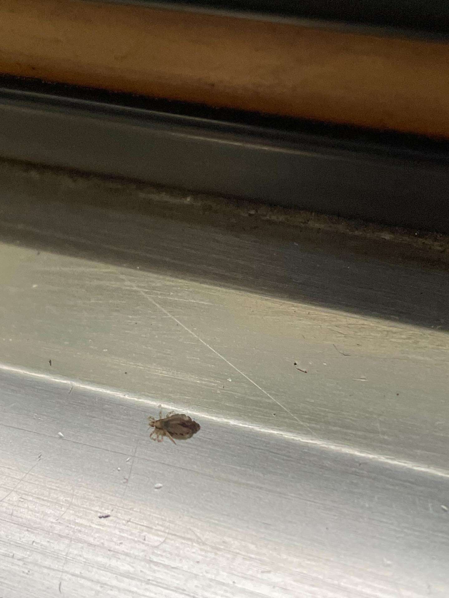 660456396 17883433587481184 938616315266894186 n