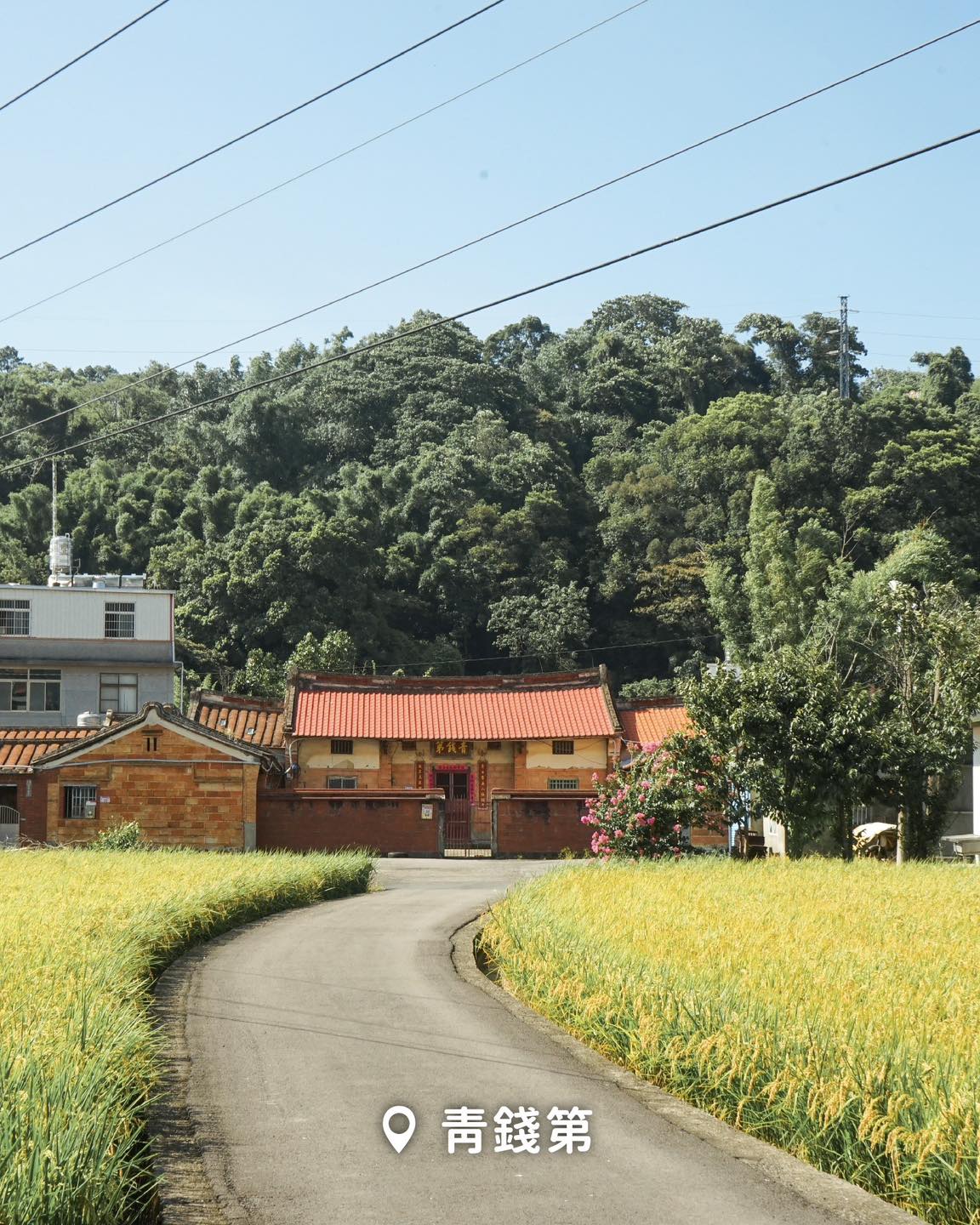 661286506 1243857841289632 753197597624648004 n