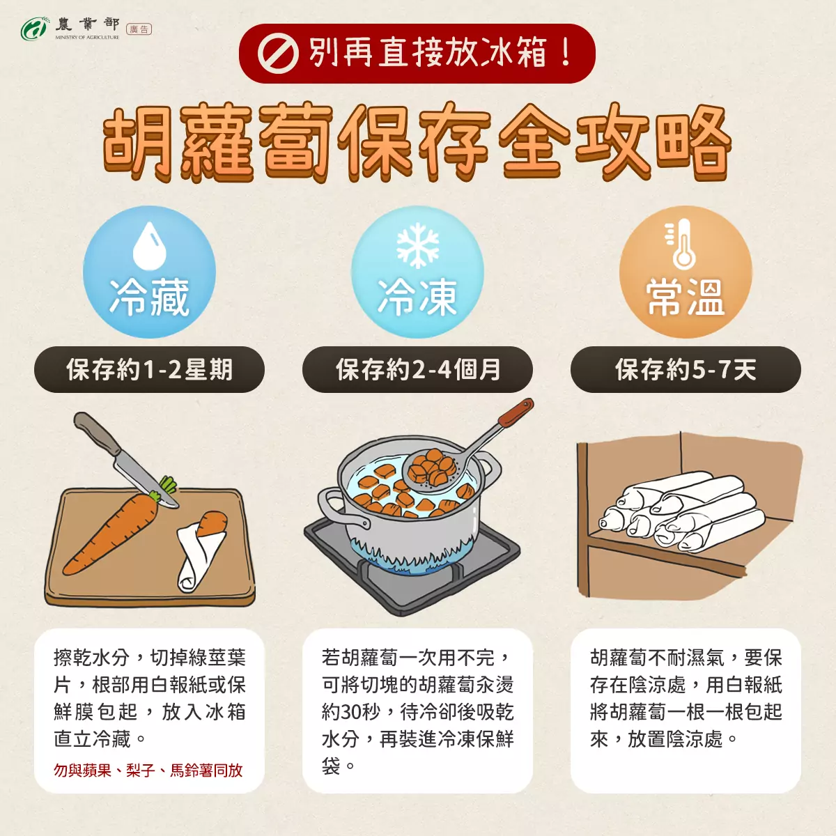 胡蘿蔔要冰嗎?3種存放方式一次看 「避開濕氣」是關鍵 671791461 1382327140602695 9115183112624649325 n 1
