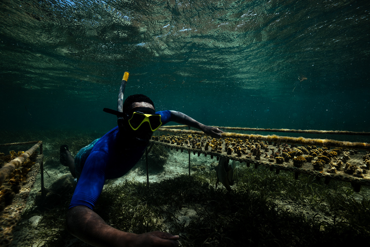 全球青年創新挑戰徵件開跑 海保署邀你一起用創意守護藍色家園 E25EF59A 52DE 4320 9D14 BEF0AE41832F