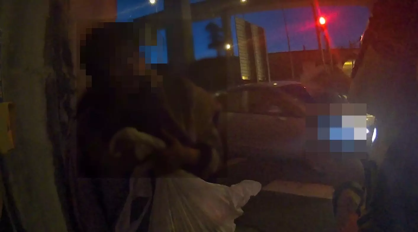 桃園男不熟路況誤闖國道1號!路肩漫步嚇壞駕駛 桃園男不熟路況誤闖國道1號!路肩漫步嚇壞駕駛