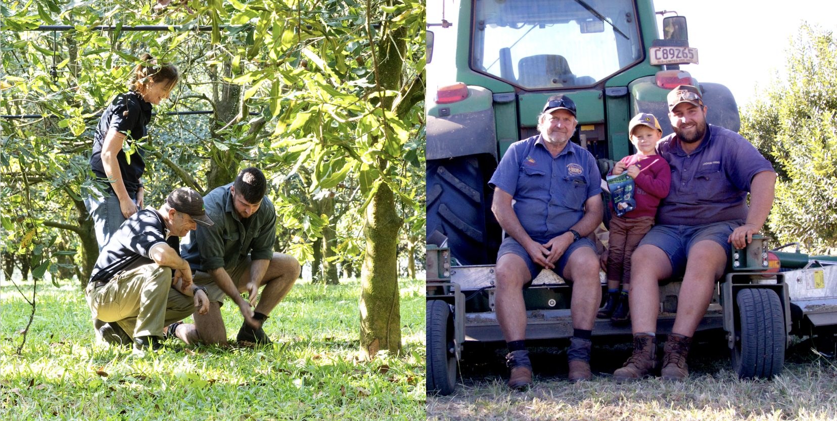 殼以幸福!澳洲「堅果之王」HappyNut帶殼登台 附專屬鑰匙「現開現吃」超療癒 滿額再享優惠 S 32514058