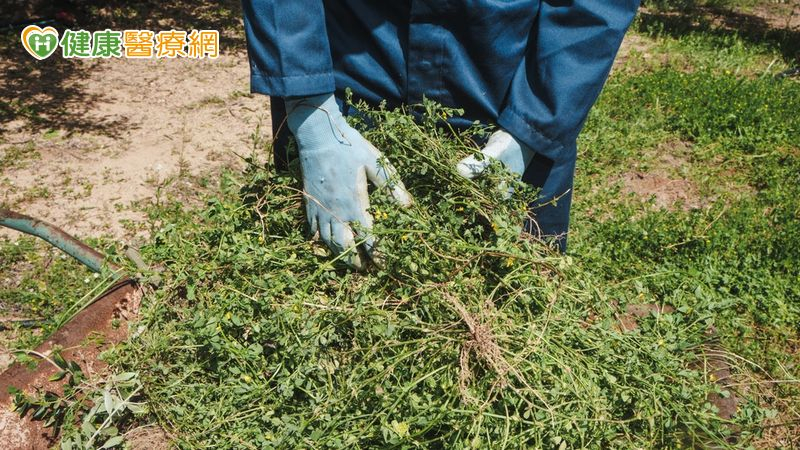 老翁遭蛇咬「以口吸毒」還帶「兇手」求救 醫示警:不當處置更危險 老翁遭蛇咬「以口吸毒」還帶「兇手」求救 醫示警:不當處置更危險