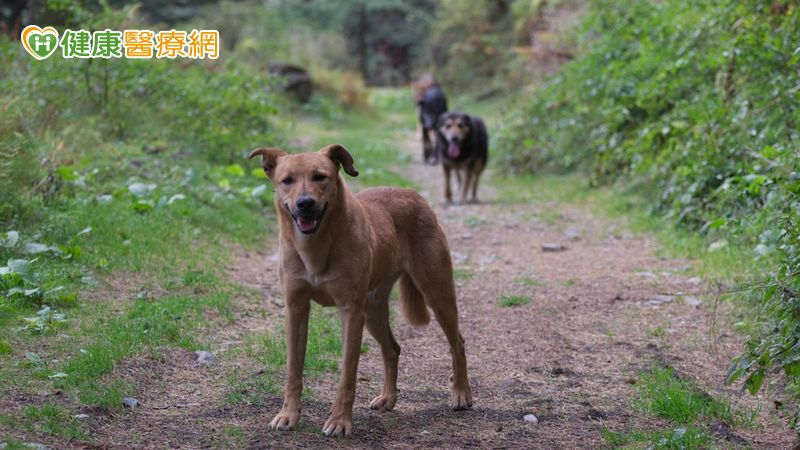 76歲嬤遭3犬狂咬全身200撕裂傷 反覆清創+高壓氧治療加速修復 76歲嬤遭3犬狂咬全身200撕裂傷 反覆清創+高壓氧治療加速修復