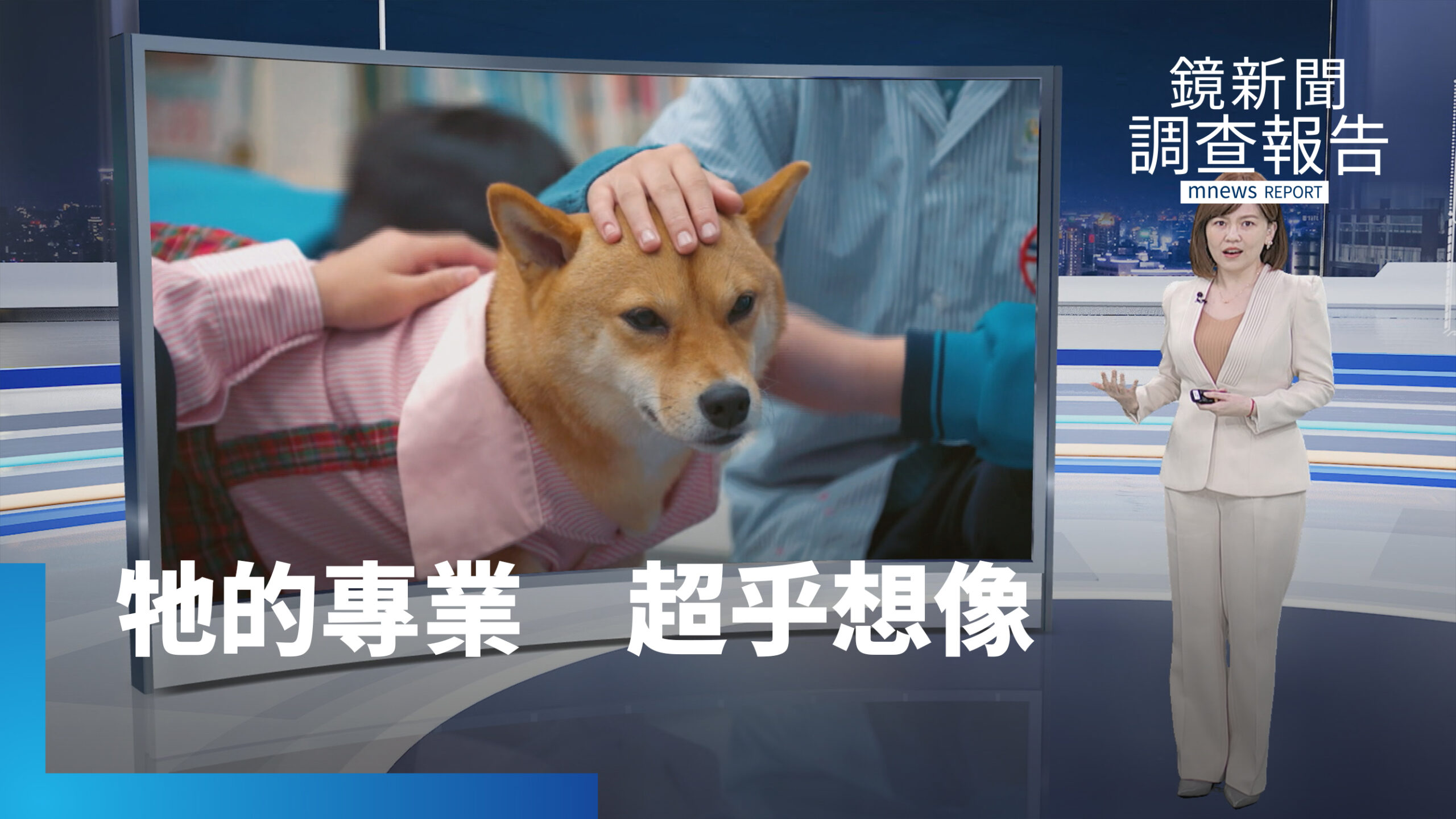 《牠比你想的更專業》全集 從瓦礫堆搜救、國境防疫到生命教育 搜救犬、檢疫犬、治療犬、狗醫生、導盲犬 守護人類的最溫暖力量 《牠比你想的更專業》全集 從瓦礫堆搜救、國境防疫到生命教育 搜救犬、檢疫犬、治療犬、狗醫生、導盲犬 守護人類的最溫暖力量