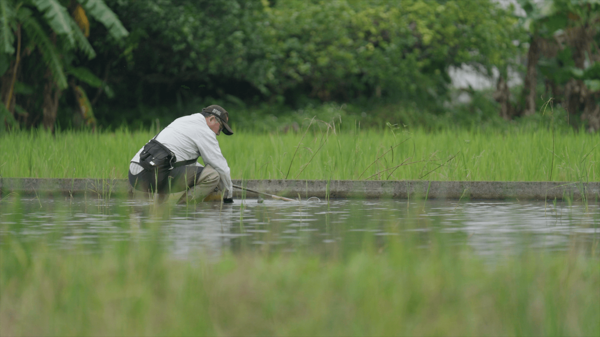 跟著節氣過生活 宜蘭深溝小農種米釀酒酵哈哈 跟著節氣過生活 宜蘭深溝小農種米釀酒酵哈哈
