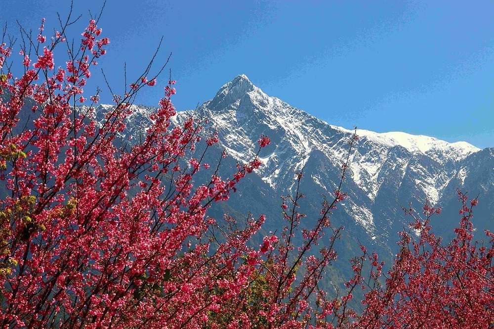 玉管處啟動「看見玉山」影像徵集 5000元獎金等你拿 圖2、臺21線觀山停車場眺望玉山主峰玉管處提供