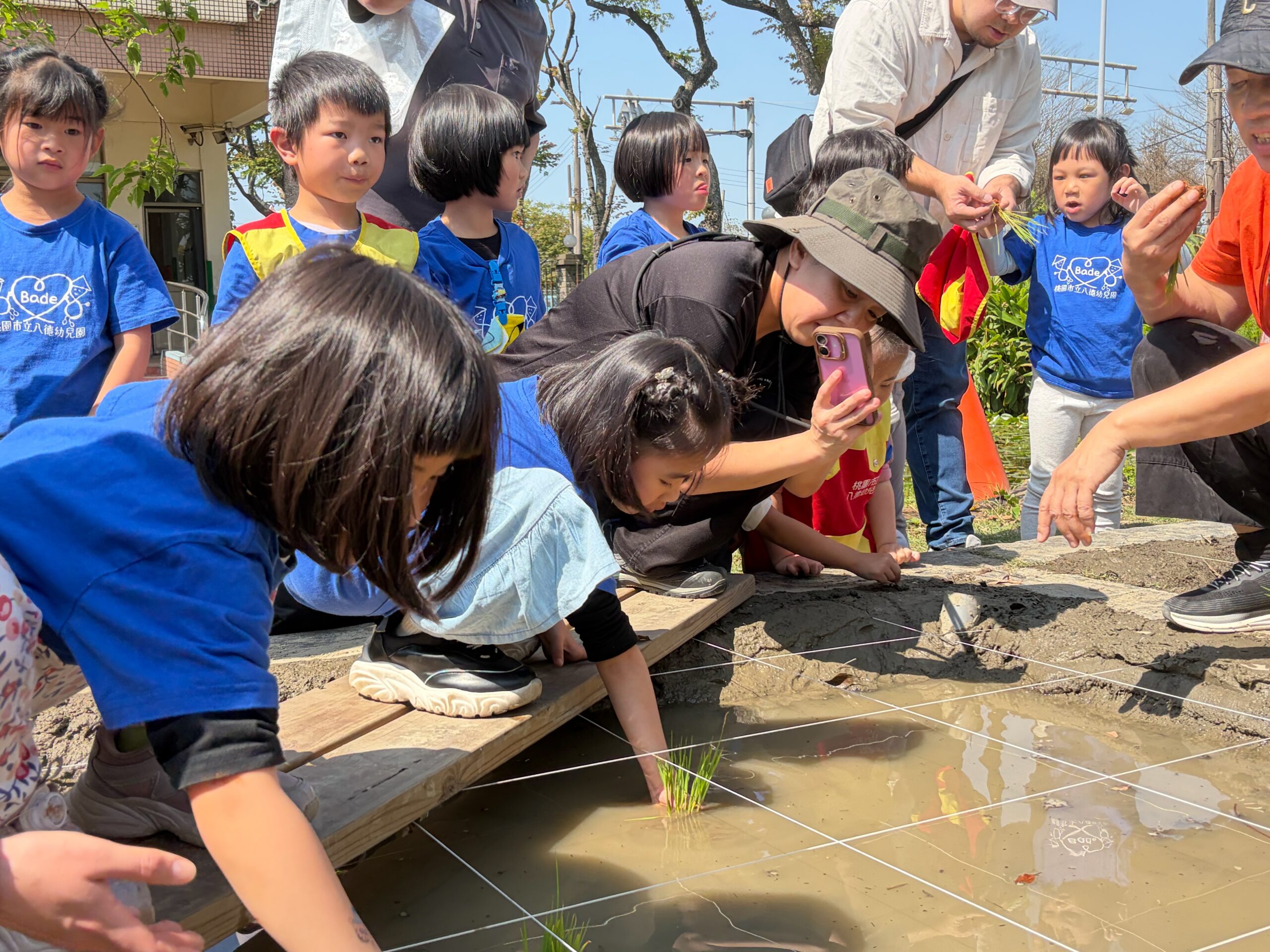 市立八德幼兒園 5 孩子們親手體驗插秧，將秧苗種入水田中，感受農作的過程與土地的連 scaled