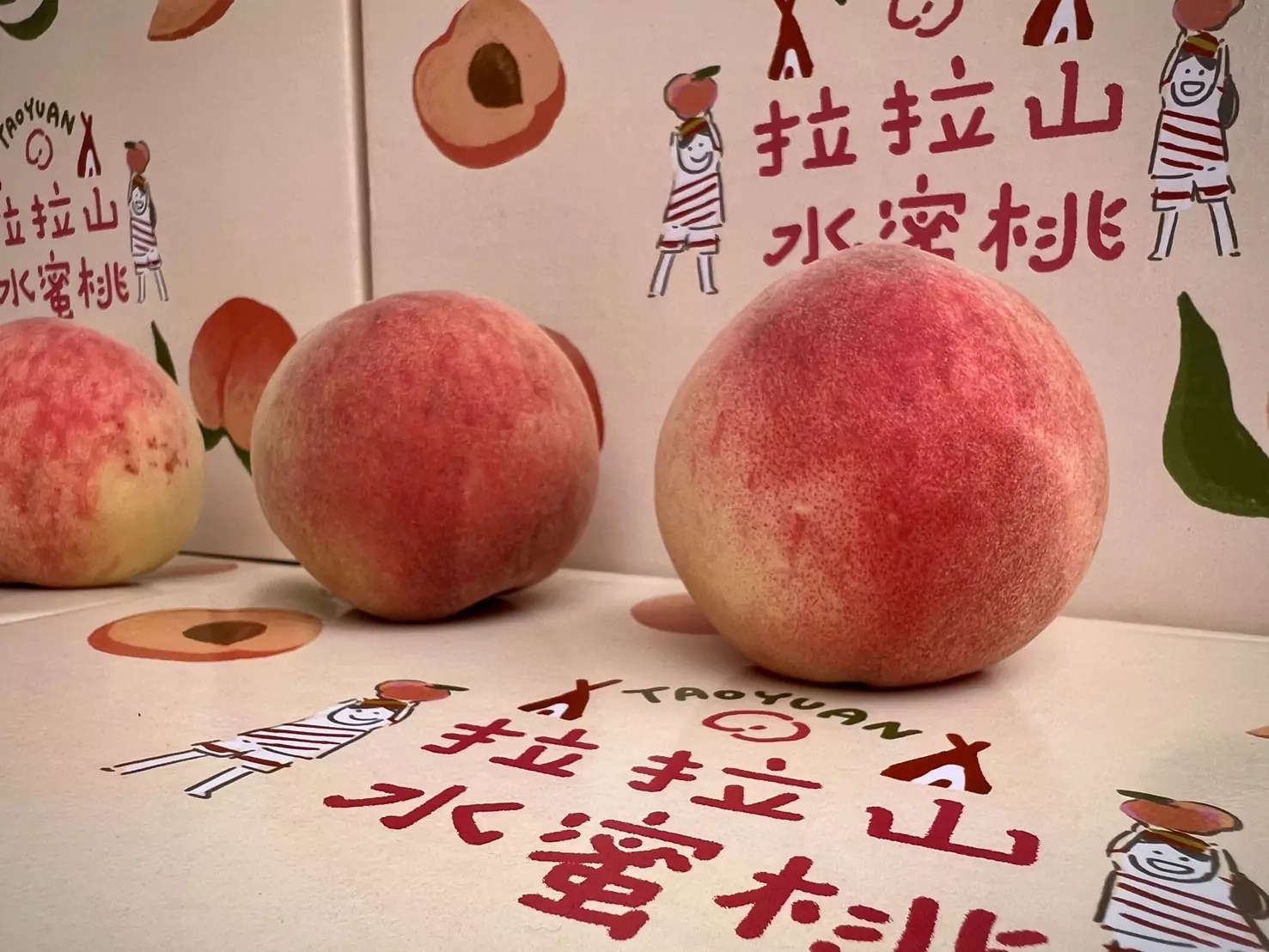 桃園媽媽桃網路預購千盒秒殺 台茂粉紅市集5/9起現貨開賣 桃園媽媽桃網路預購千盒秒殺 台茂粉紅市集5/9起現貨開賣