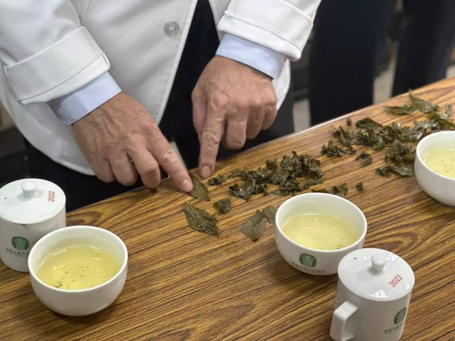 桃園蘆峰烏龍茶春季包種茶評鑑成績揭曉 陳曉儀獲特等獎肯定 桃園蘆峰烏龍茶春季包種茶評鑑成績揭曉 陳曉儀獲特等獎肯定