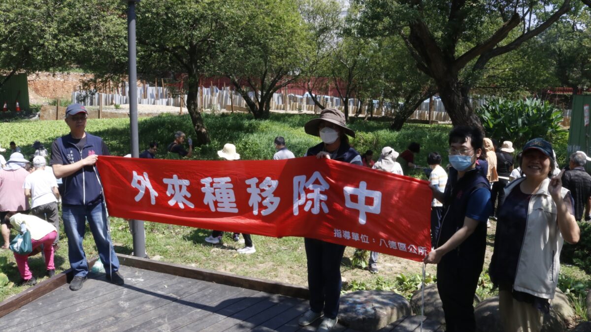 綠色危機席捲八德埤塘 福山宮遭大萍強佔水體急缺氧 11 7
