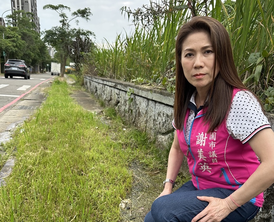 青埔大型活動多「人行道雜草叢生」 謝美英憂安全疑慮