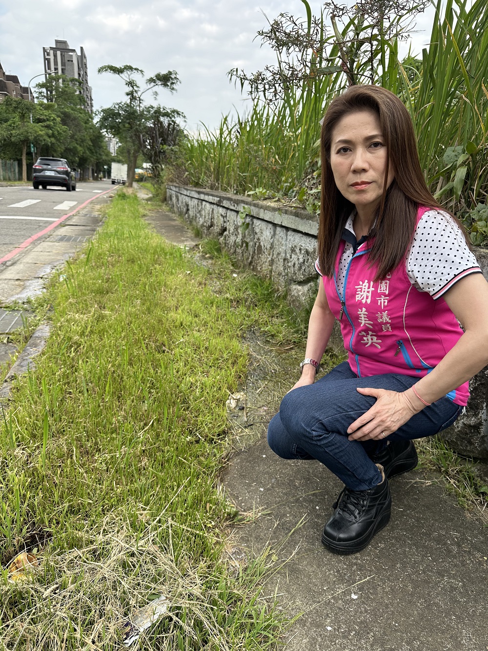 青埔大型活動多「人行道雜草叢生」 謝美英憂安全疑慮 16