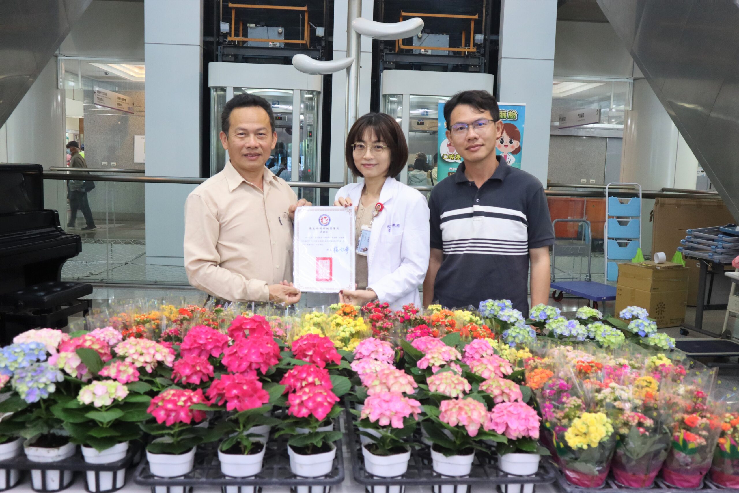 桃園醫院迎接溫馨母親節 120盆長壽花傳遞祝福 桃園醫院迎接溫馨母親節 120盆長壽花傳遞祝福