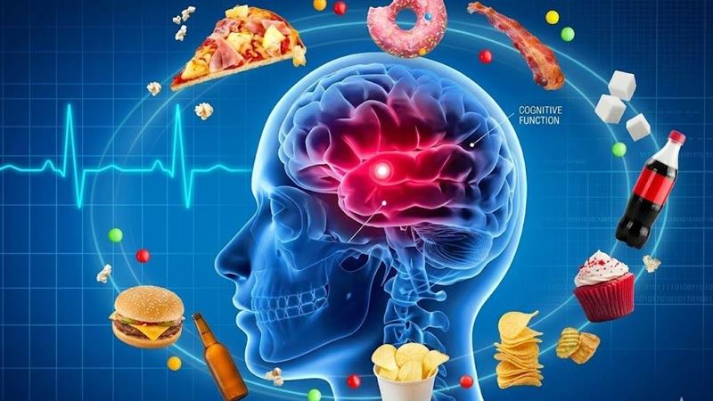 7種日常飲食影響大腦 偷走你的思考力 7種日常飲食影響大腦 偷走你的思考力