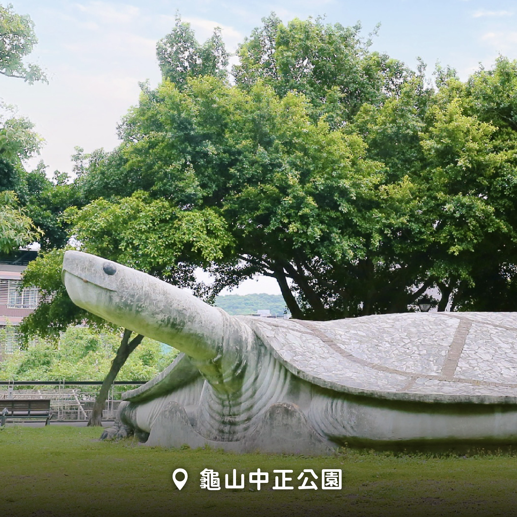 桃園龜山療癒一日遊!公園大烏龜守護地方30年 必吃辣椒麵、綿綿冰 705031841 1281357294206353 5615585252116393256 n