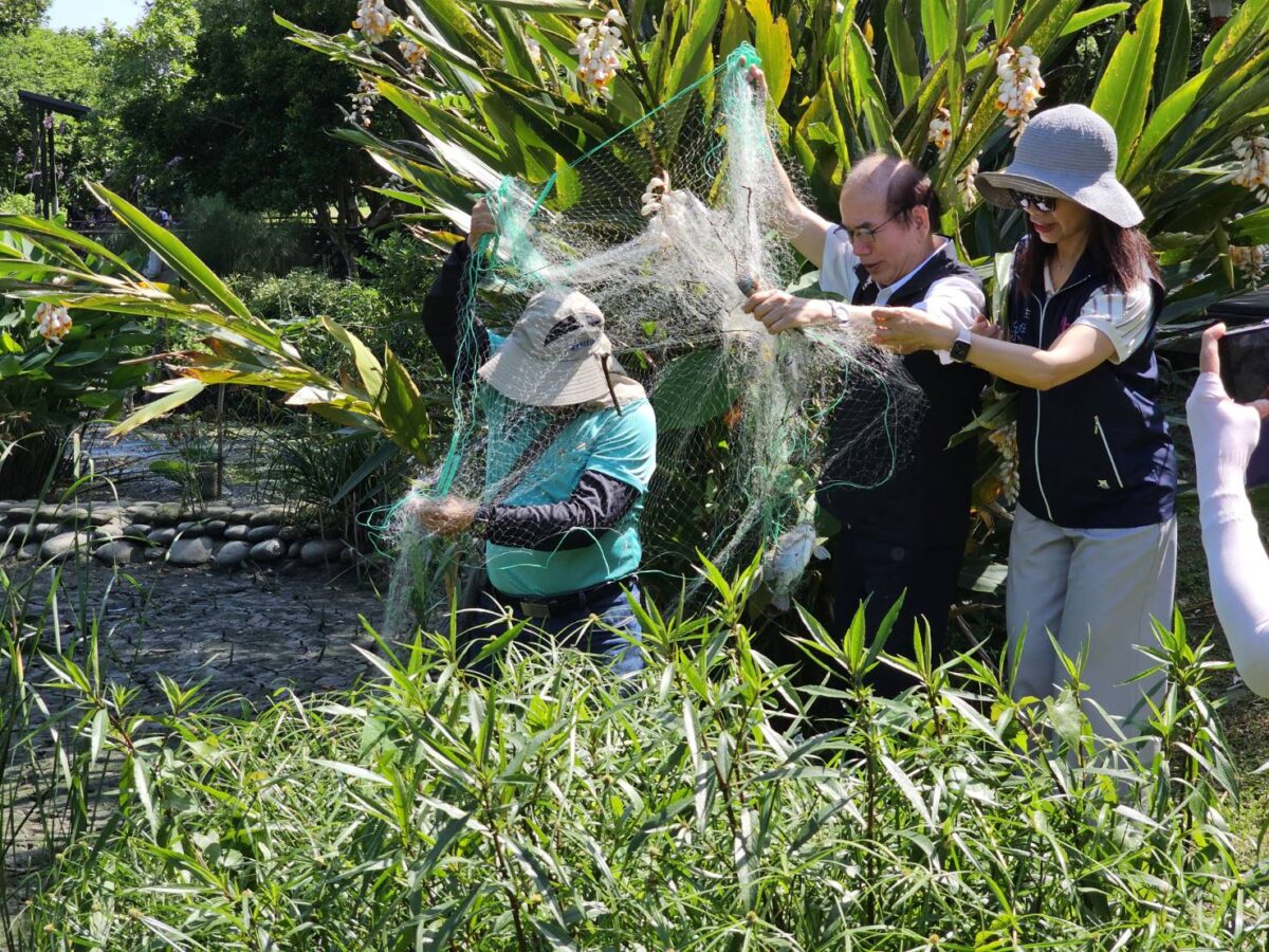 八德埤塘公園公私協力解決優養化 啟動清淤維護原生物種 865638 0 0