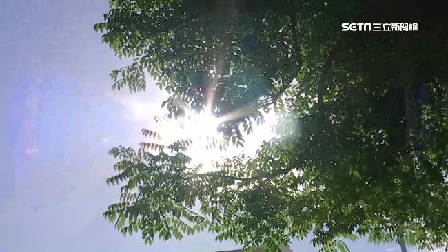 立夏報到!專家點名6大生肖運勢能量佳 立夏報到!專家點名6大生肖運勢能量佳