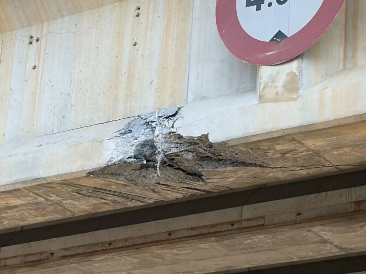 【有片】中壢聯結車載高空作業車釀禍!撞壞電桿、涵洞鋼筋外露 S 23953603 0