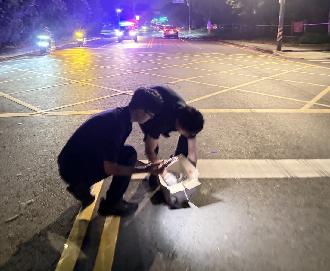 楊梅虎斑貓遭撞吐血馬路亂竄 警衝車道強勢救援救牠一命 S 83886124 0