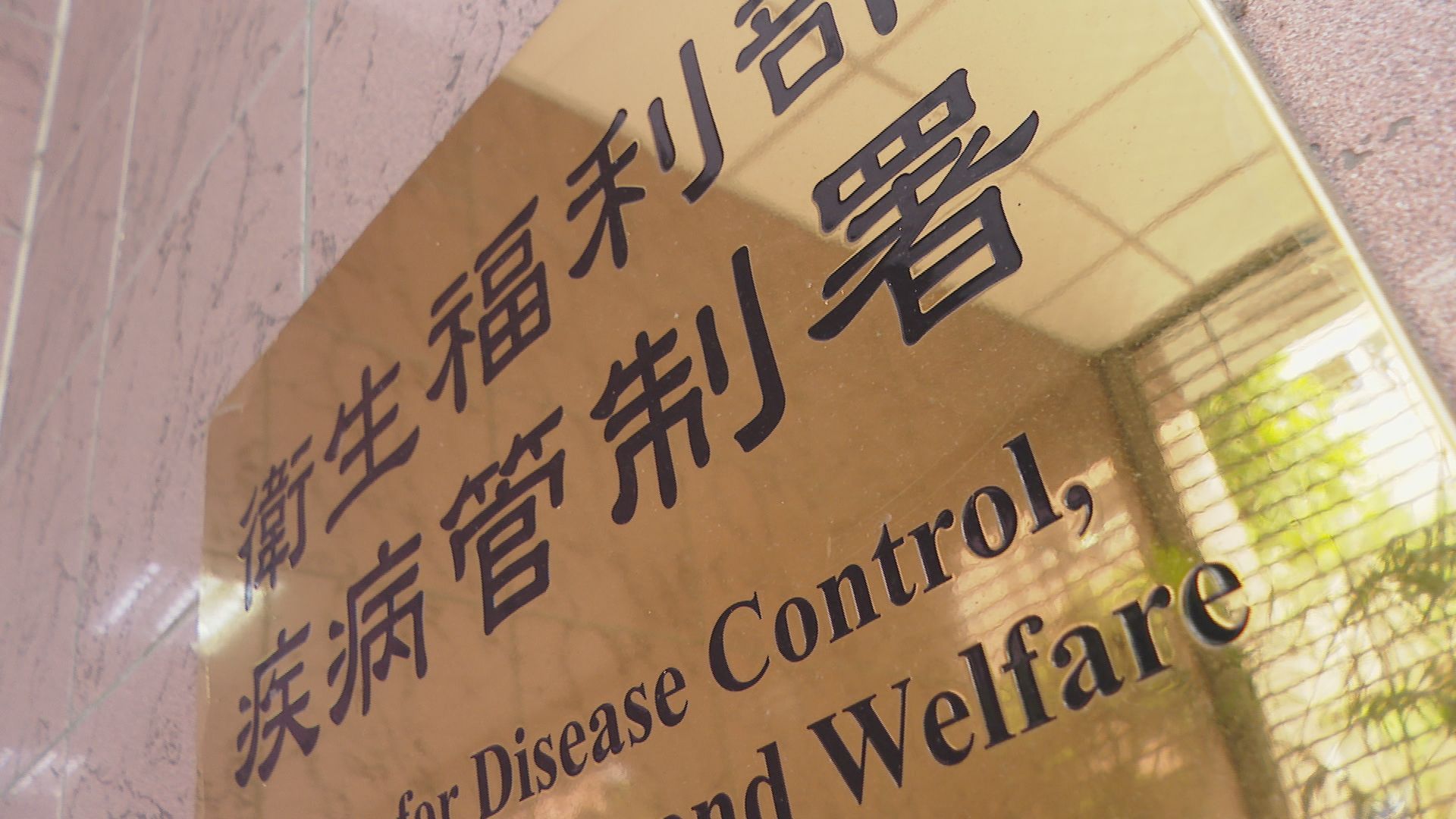今年已累計19例!國內再增類鼻疽個案 50歲男脾臟長膿瘍險重症 今年已累計19例!國內再增類鼻疽個案 50歲男脾臟長膿瘍險重症