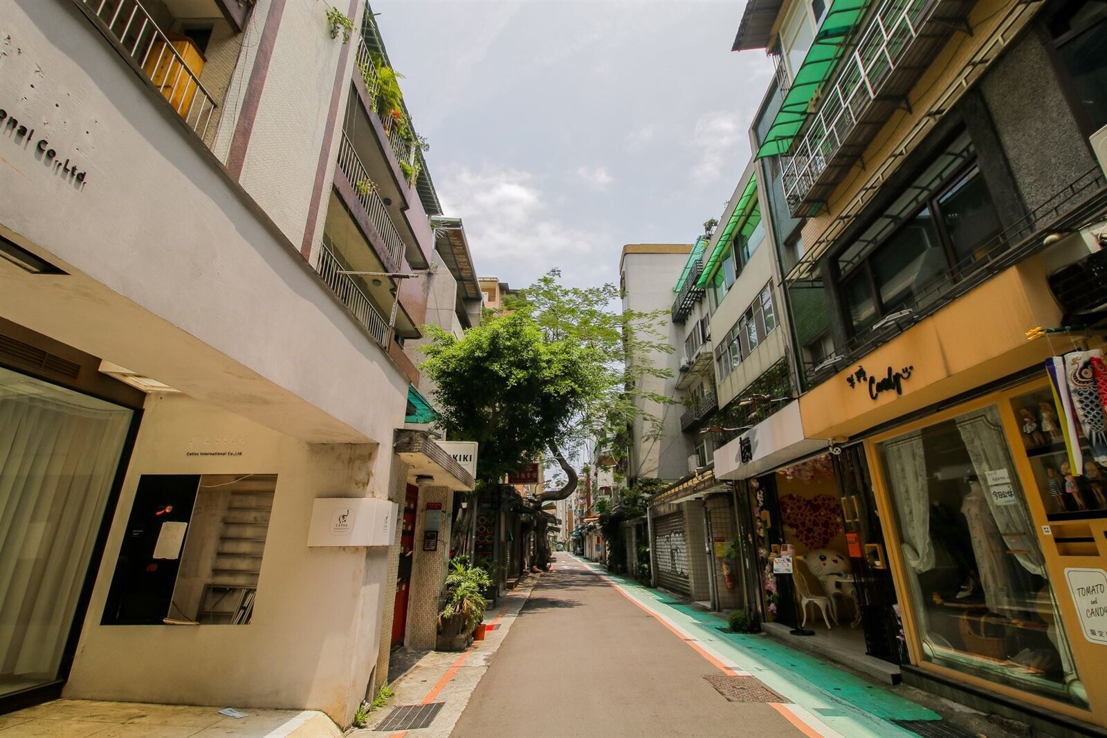 資金動能與政策利空鈍化 台北房市量縮收斂 資金動能與政策利空鈍化 台北房市量縮收斂