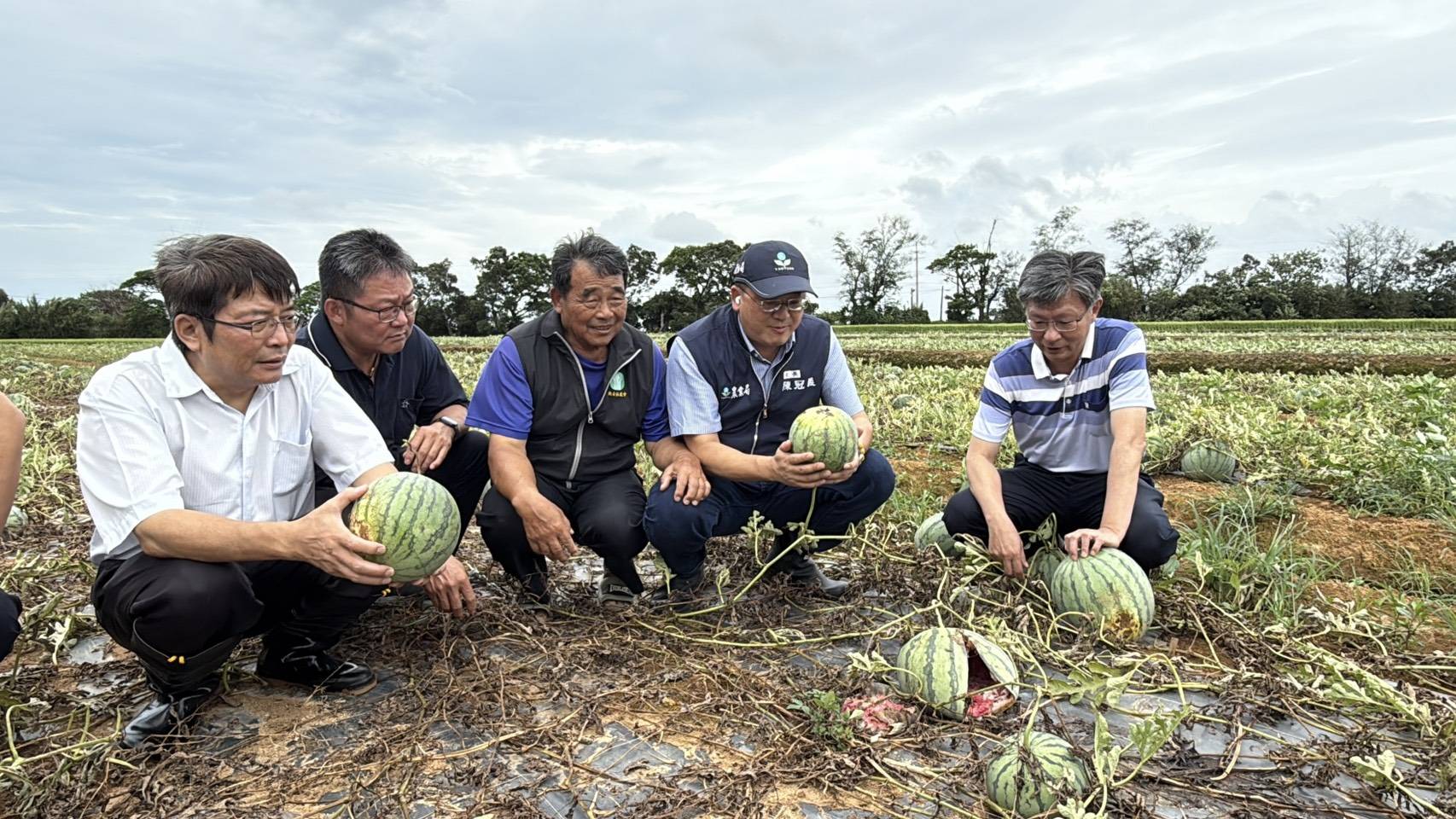 大雨狂灌!桃園43公頃瓜果田災損 農業局出手減輕損失 1076150 0