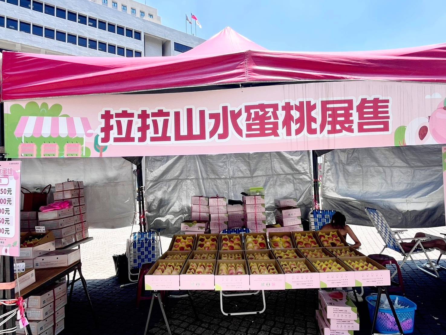 拉拉山水蜜桃滯銷「8顆150元」急售?桃園農業局:勿信假消息 1079272 0
