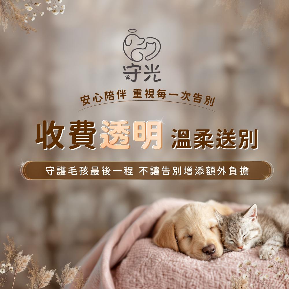 面對毛孩離世,除了悲傷,還有許多家長不知道的事 114