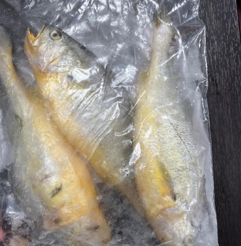 中國進口黃花魚出包!食藥署驗出禁藥 邊境攔截逾6千公斤 1782195368462 0