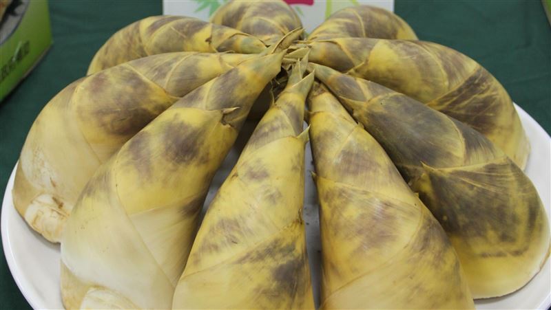夏天竹筍產季到 醫曝沒煮熟有這些風險 夏天竹筍產季到 醫曝沒煮熟有這些風險