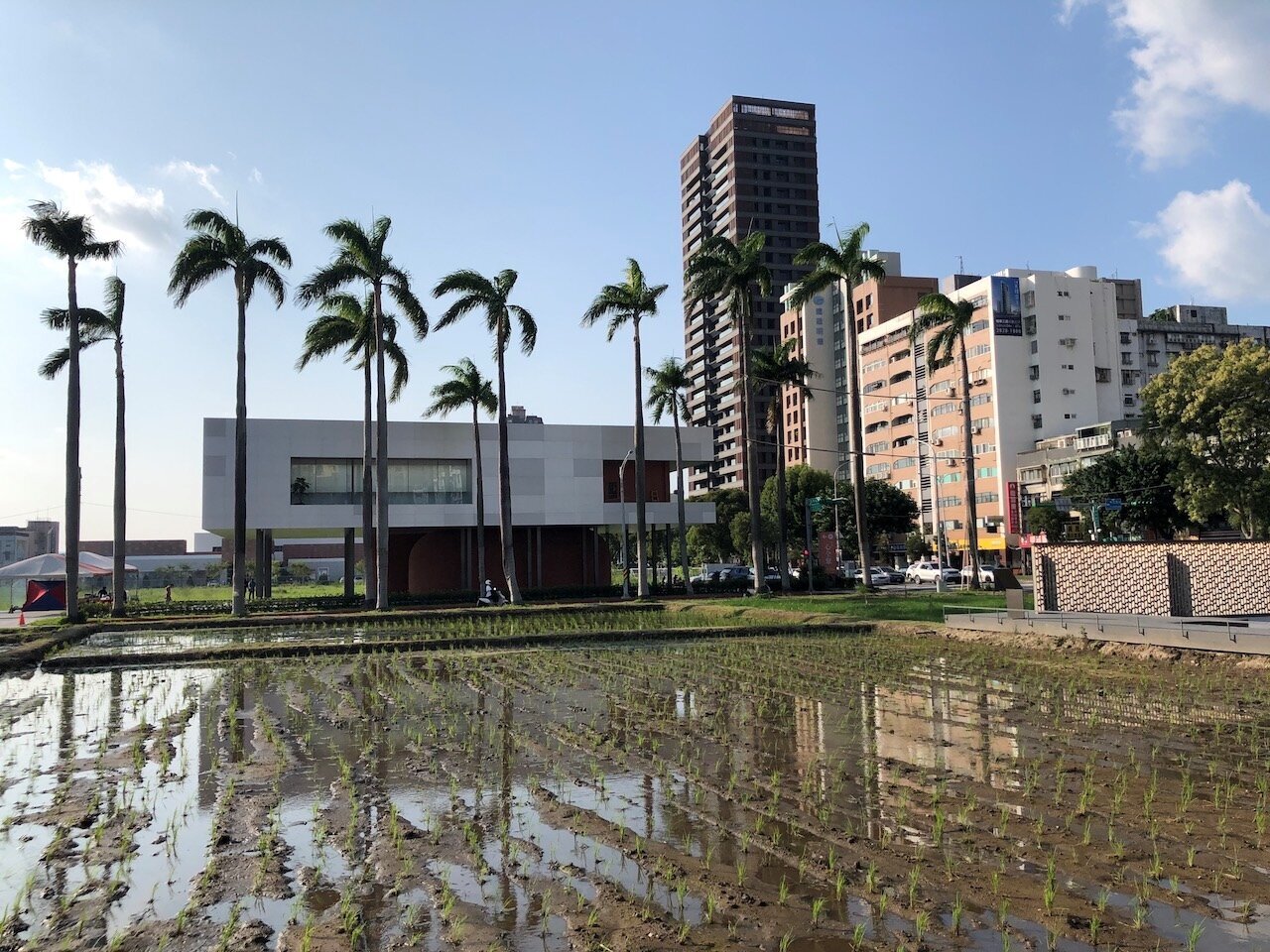 想把遺產「精準」送給特定人?專家:預立遺囑前一定要先到國稅局調「財產清冊」 想把遺產「精準」送給特定人?專家:預立遺囑前一定要先到國稅局調「財產清冊」