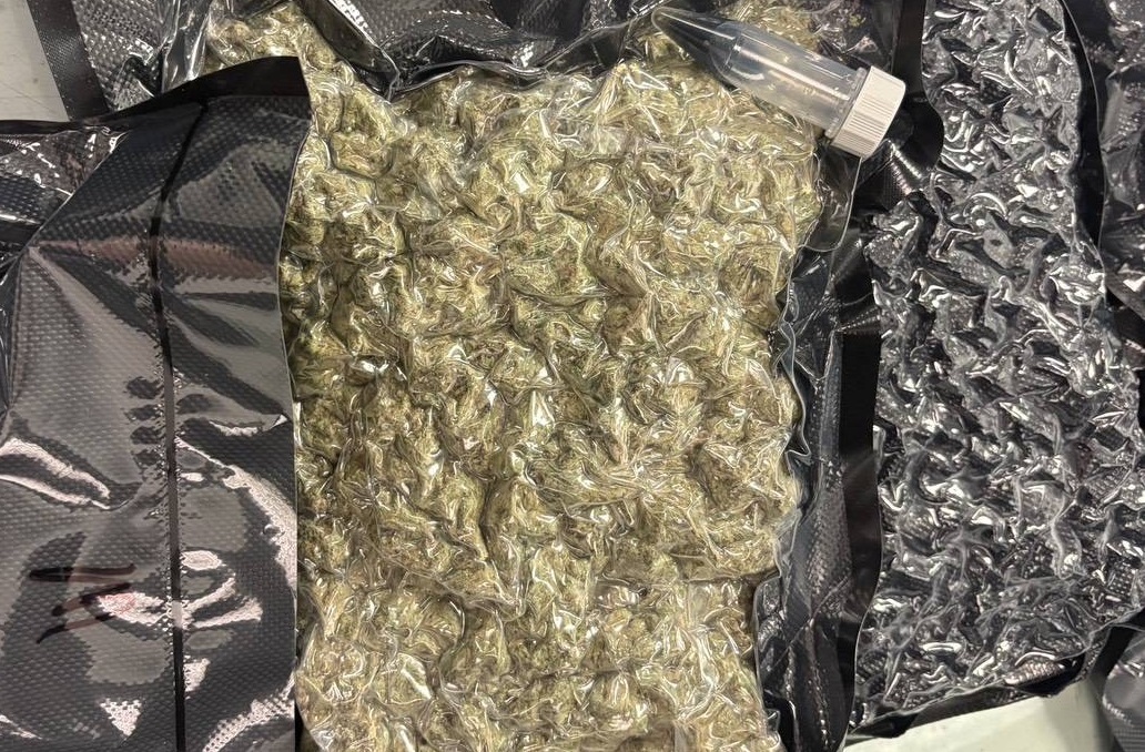 桃園檢調攜手海關阻市價9000萬大麻流入市面 美、加男子遭起訴 桃園檢調攜手海關阻市價9000萬大麻流入市面 美、加男子遭起訴
